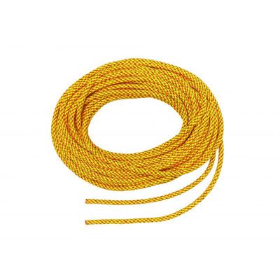Yellow Squir